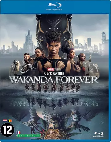 Black Panther : Wakanda Forever