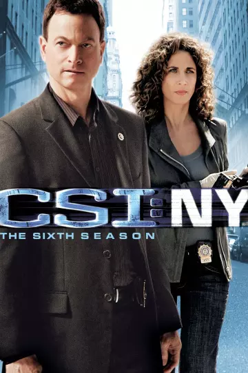 Les Experts : Manhattan - Saison 6